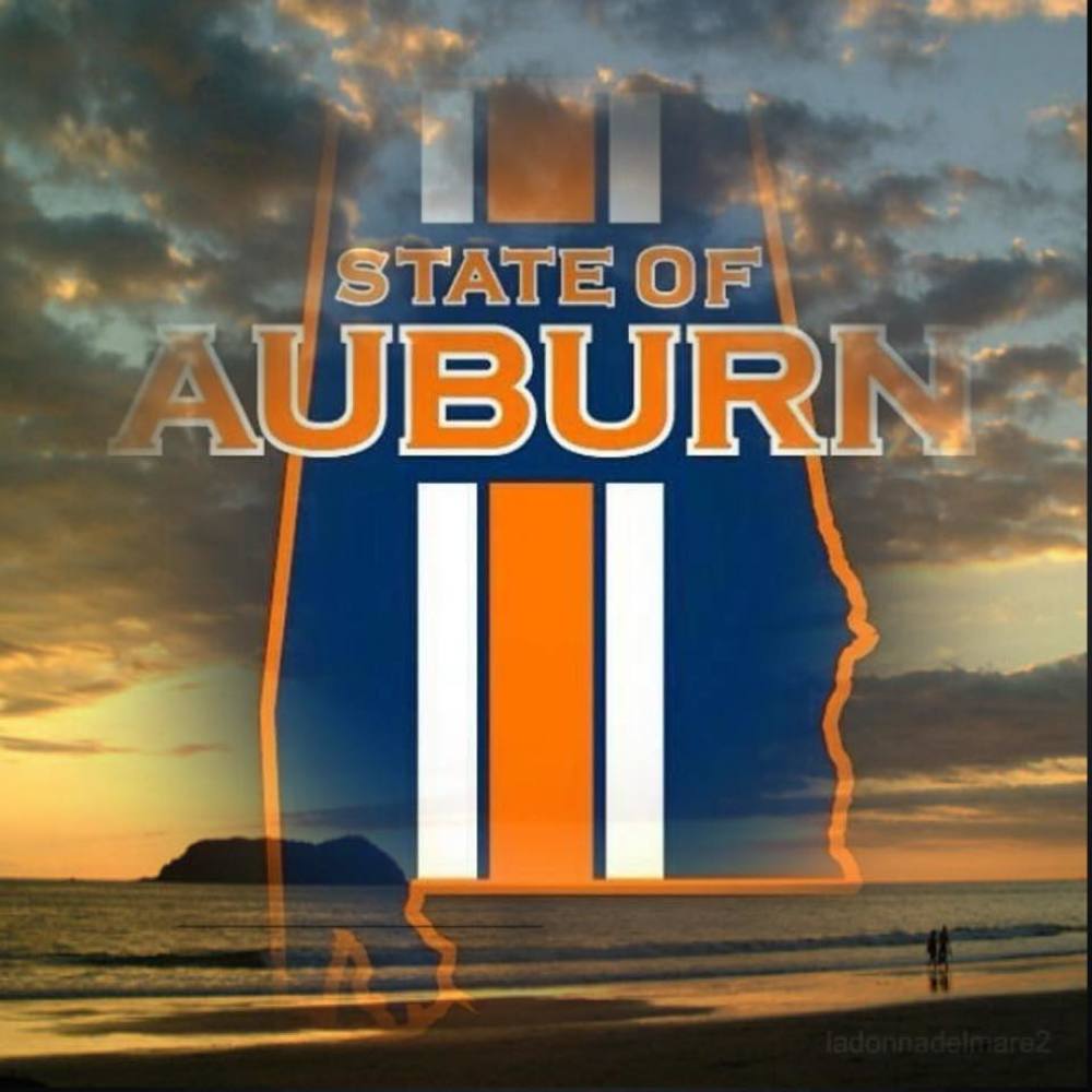 Meet your Posher, Ronnie